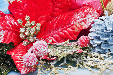 Красная пуансеттия, рождественское цветочное оформление