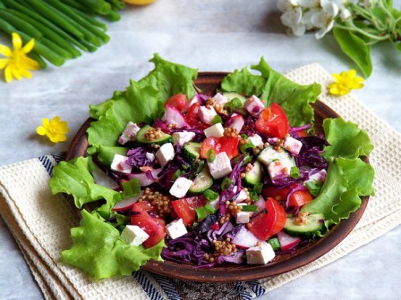 Салат с краснокочанной капустой, огурцом, редиской, помидорами на листьях салата